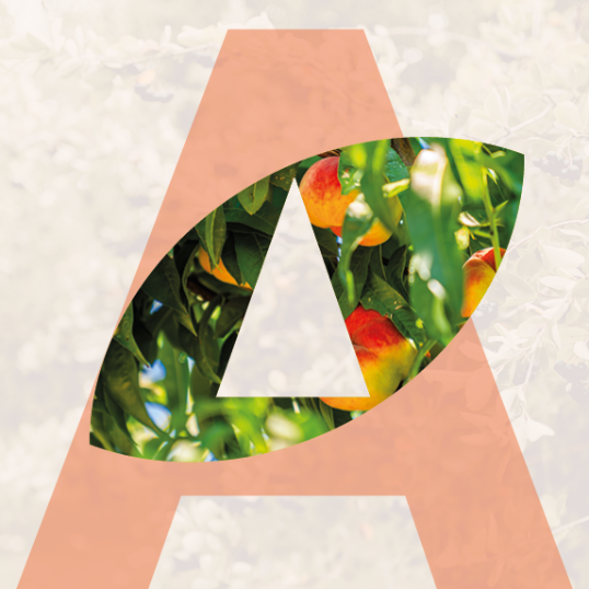 Espai digital Canal Aliments